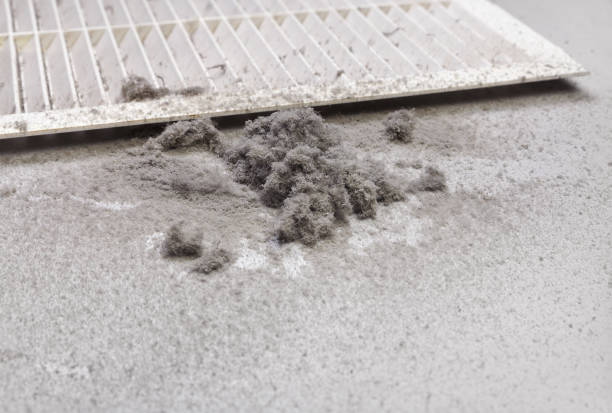 Best HVAC System Cleaning  in Hollins, VA
