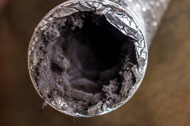 Best Commercial HVAC Duct Cleaning  in Hollins, VA